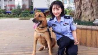 杨蓉警犬来啦花絮,警犬与演员的甜蜜互动